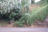 Stechford station site viewed from Station Road bridge
